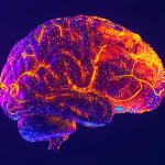 Neuromarketing e Gatilhos Mentais: Como Influenciar Decisões de Compra