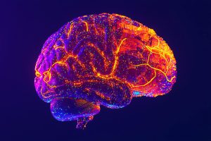 Neuromarketing e Gatilhos Mentais: Como Influenciar Decisões de Compra